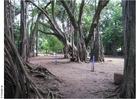 Foto parken puna