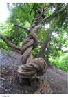Foto parken puna