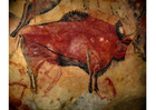 Foto prehistorisk kunst - bison