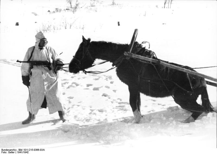 Foto Russland - soldat med hest om vinteren