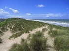Foto sanddyner havskysten 1