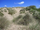 sanddyner