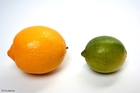 Foto sitron og lime