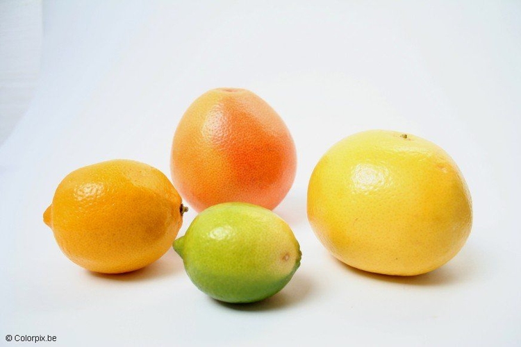 Foto sitrusfrukter