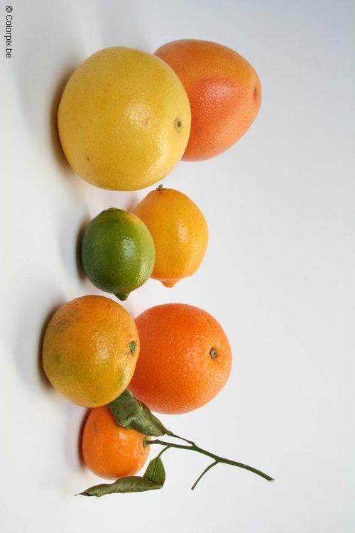 sitrusfrukter