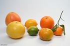 sitrusfrukter