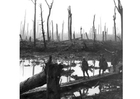 Fotografier slagfelt under den første verdenskrig