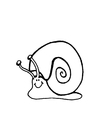 Fargeleggingsbilde snegle