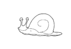 Fargeleggingsbilde snegle