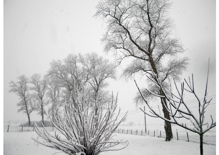 Foto snÃ¸-vinterlandskap
