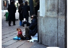tiggere i Milano
