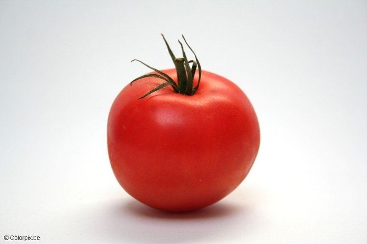 Foto tomat