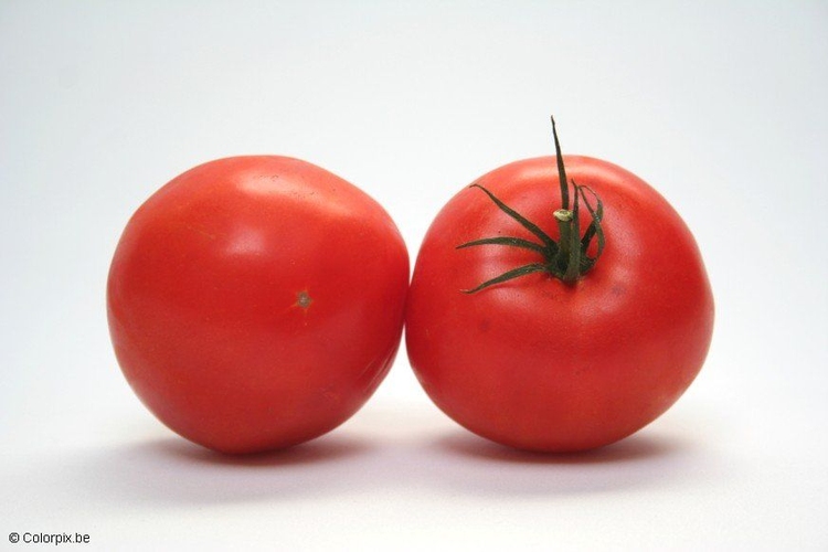 Foto tomater