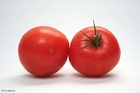 Foto tomater