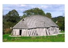 vikinghus