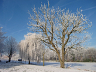 vinter 5