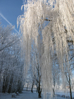 vinter 6
