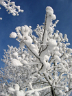 vinter 7