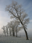 Foto vinter