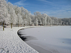 Foto vinter