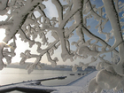 Foto vinter