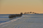 Foto vinter scene