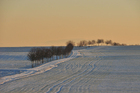 vinter scene