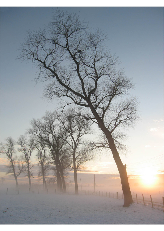 Foto vinterlandskap