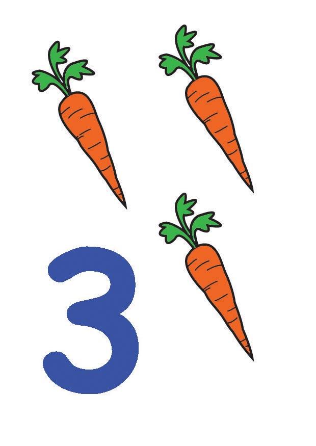 3 bilde 3