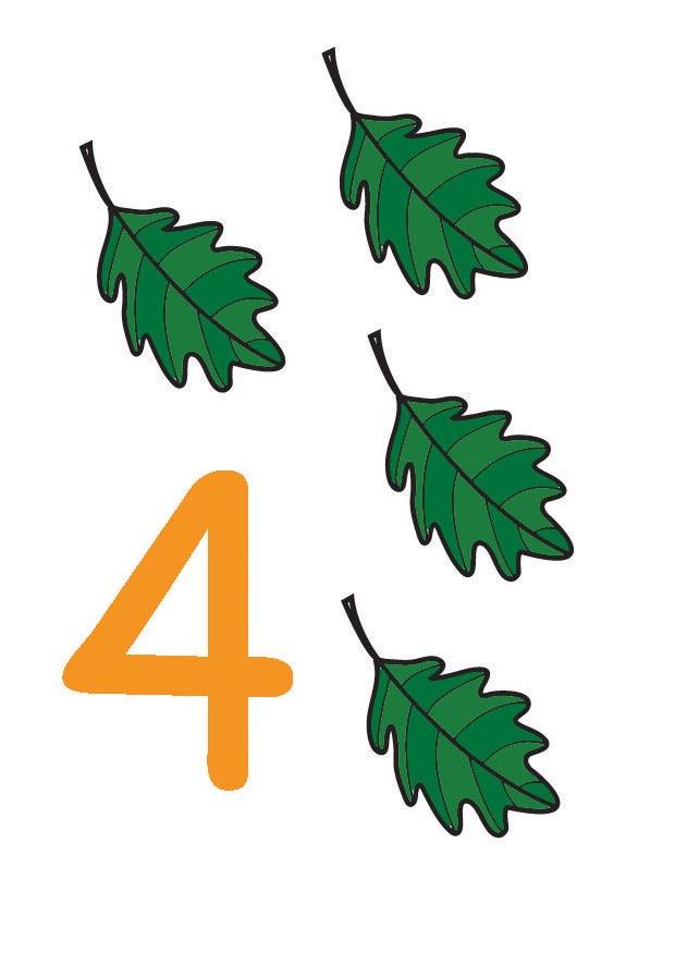 bilde 4