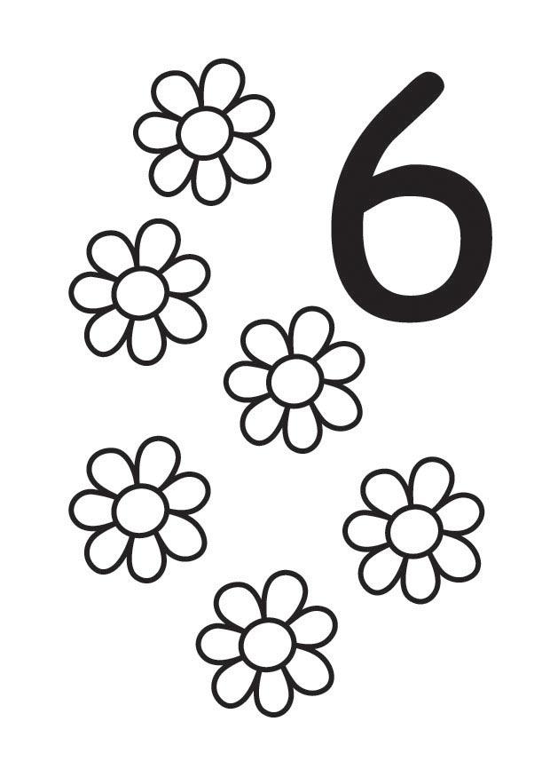 6 Fargeleggingsbilde 6