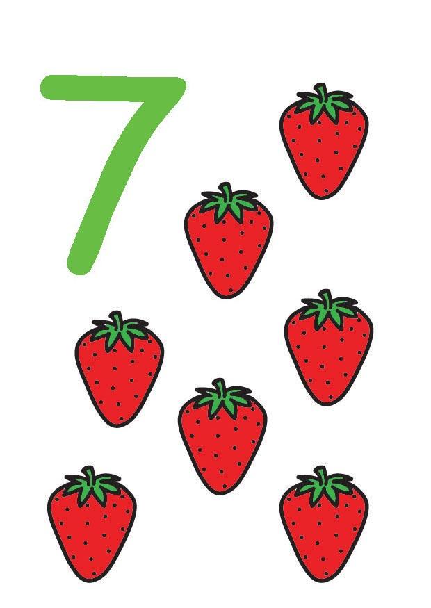 bilde 7