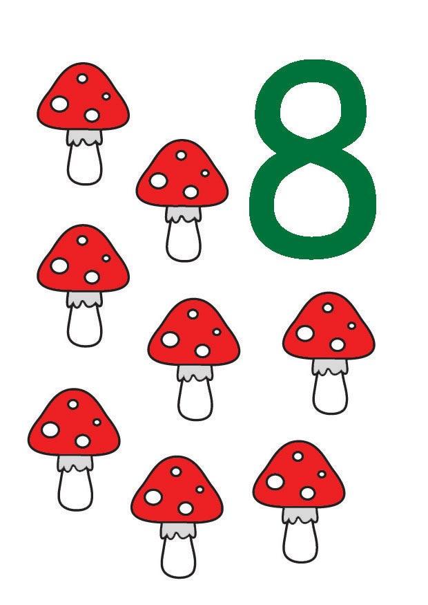 8 bilde 8