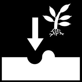 Fargeleggingsbilde A¥ plante