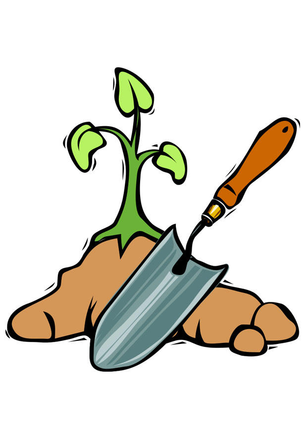 A¥ plante et trA¦ bilde A¥ plante et trA¦