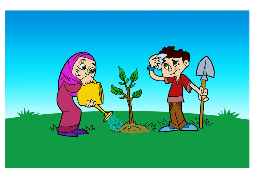 bilde A¥ plante et tre