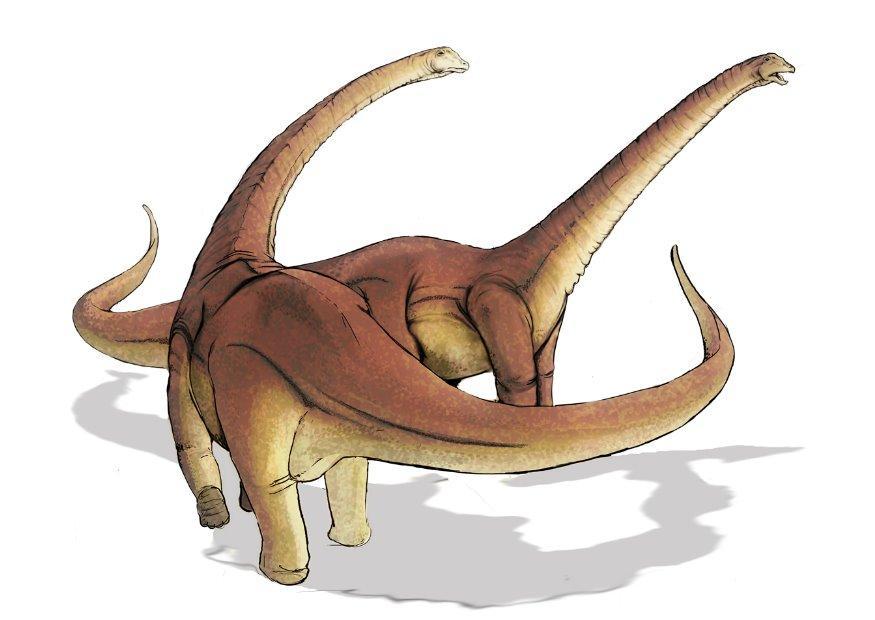 alamosaurus bilde alamosaurus
