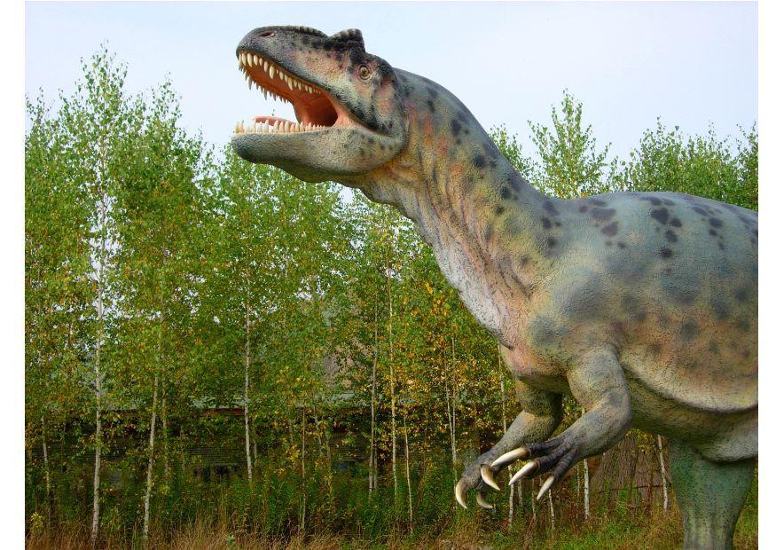 Foto allosaurus replikk