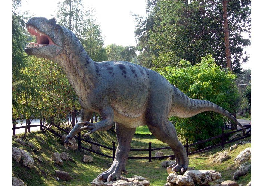 Foto allosaurus replikk