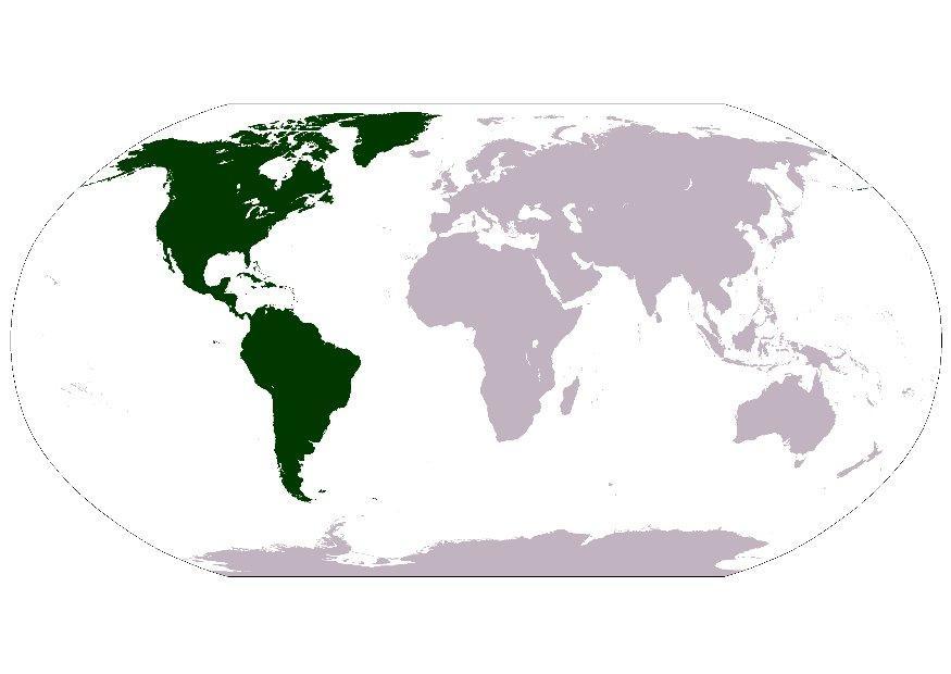 bilde amerika