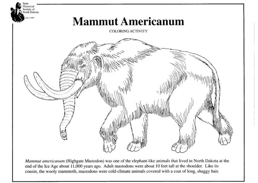 amerikansk mammut Fargeleggingsbilde amerikansk mammut