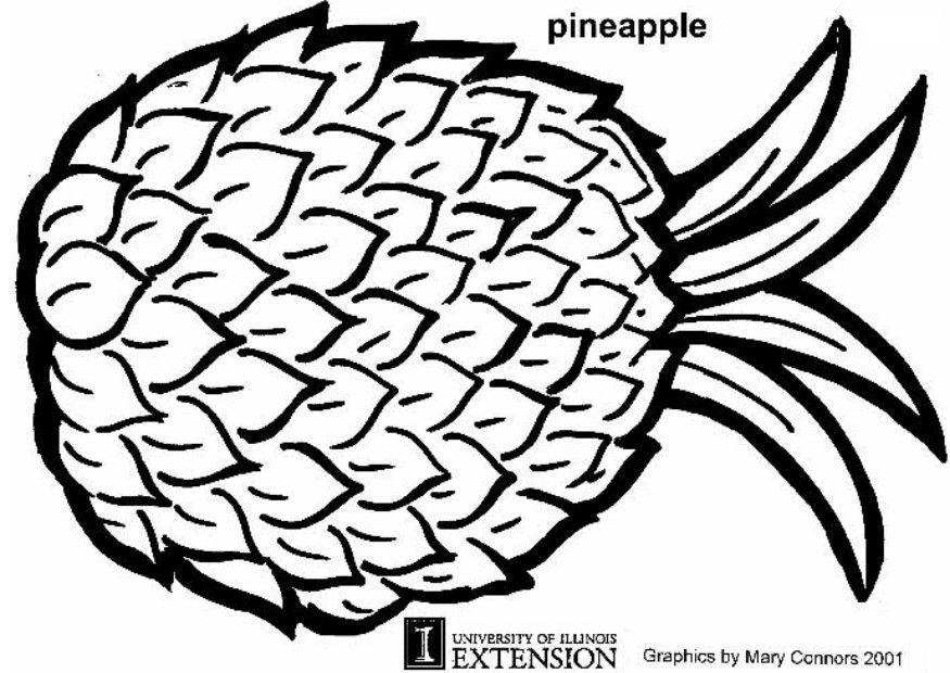 ananas Fargeleggingsbilde ananas