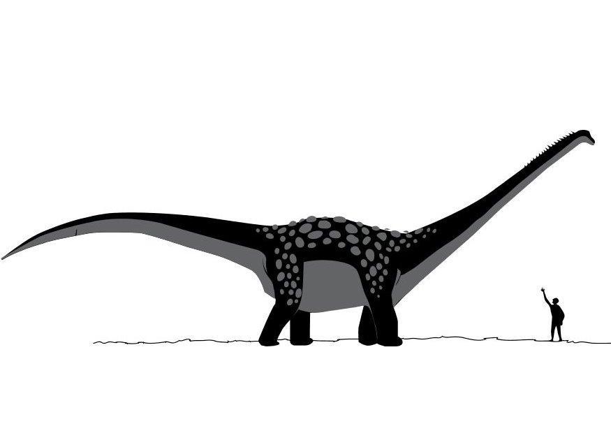 anatarctosaurus Fargeleggingsbilde anatarctosaurus