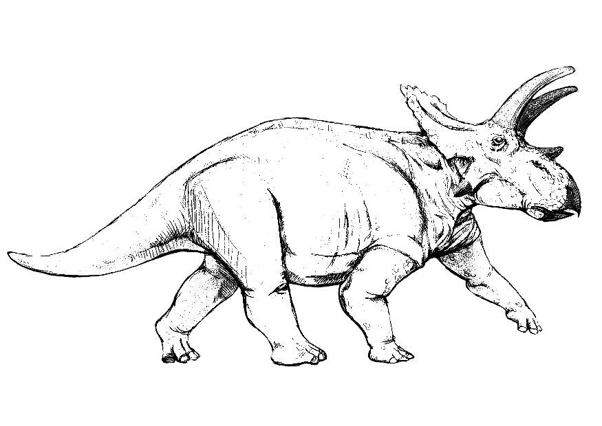 Fargeleggingsbilde anchiceratops - dinosaur