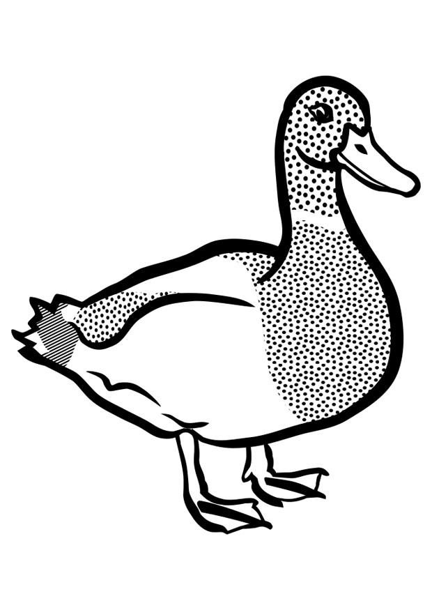 Fargeleggingsbilde and
