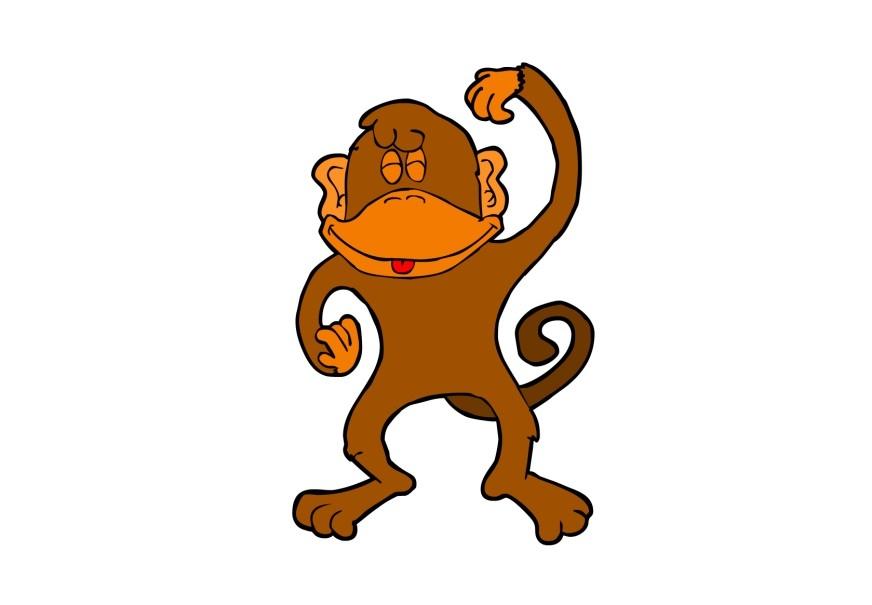 apekatt bilde apekatt