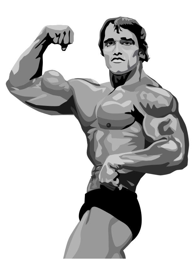 Fargeleggingsbilde arnold schwarzenegger