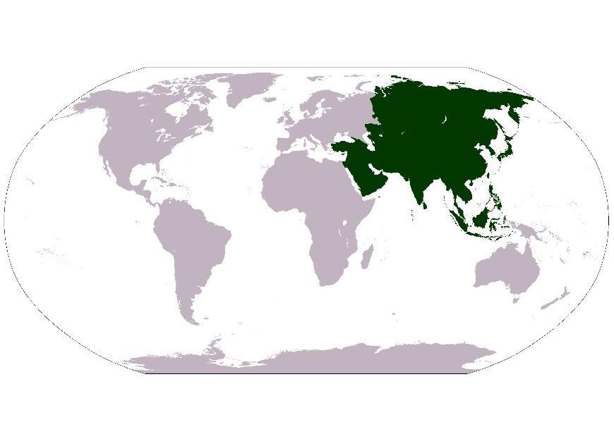 bilde asia
