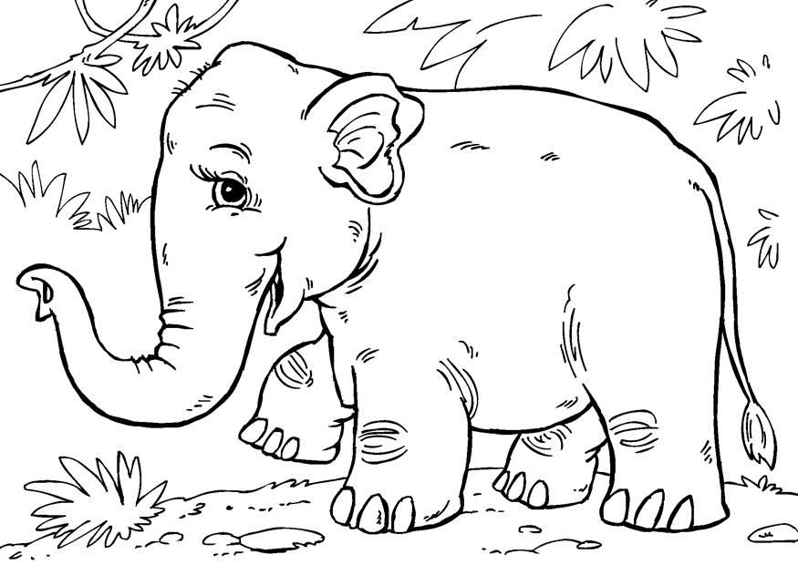 Fargeleggingsbilde asiatisk elefant