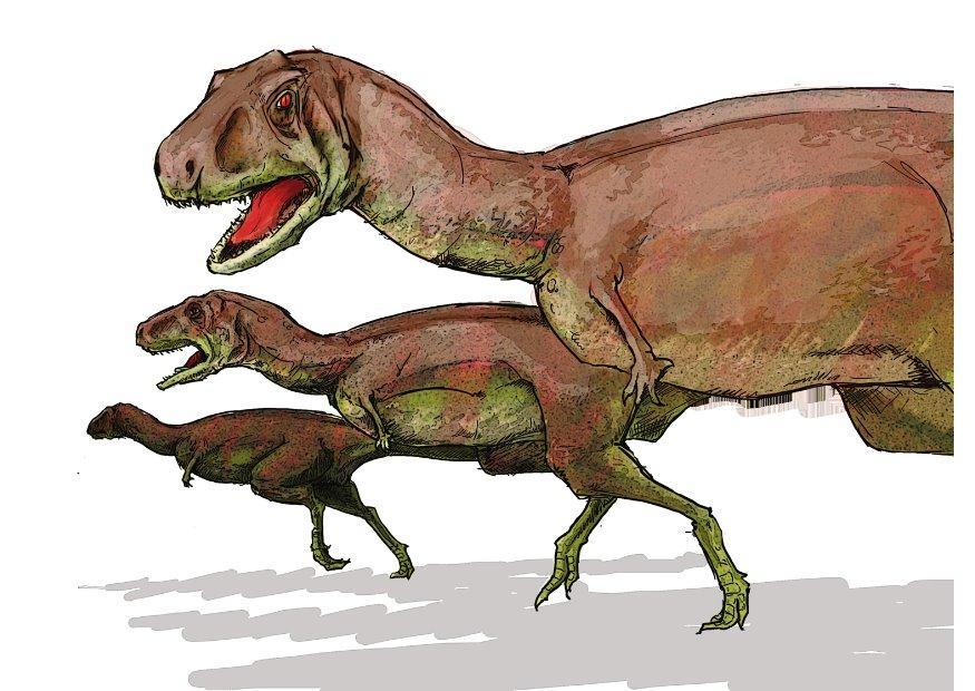 aucasaurus bilde aucasaurus